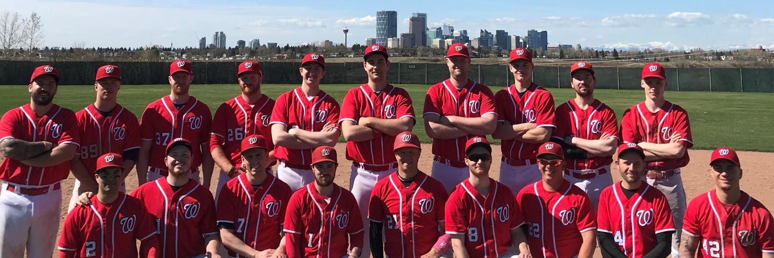 Wolfpack Baseball banner