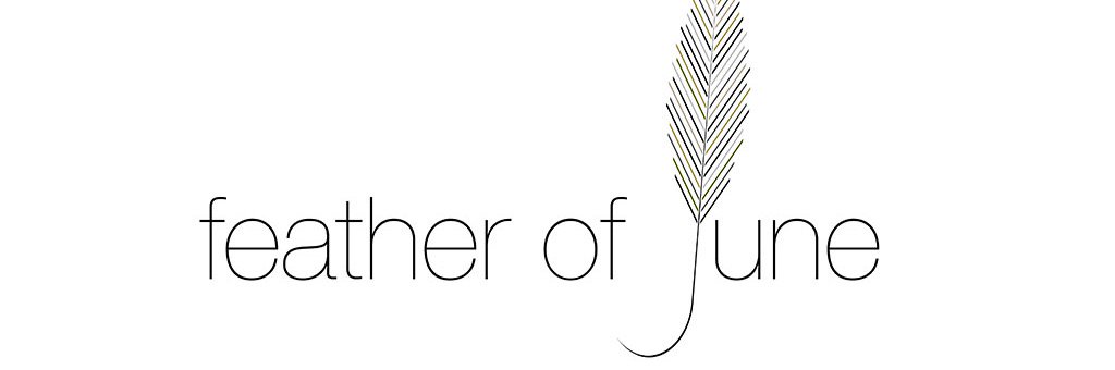 FeatherOfJune's profile banner image