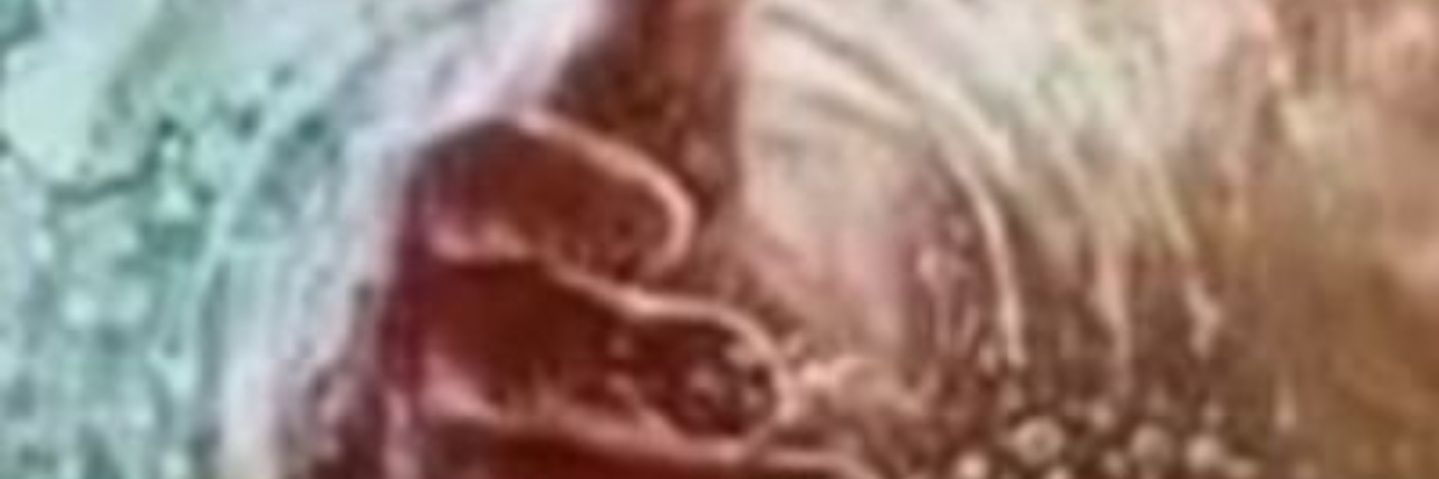 BRAITES's profile banner image