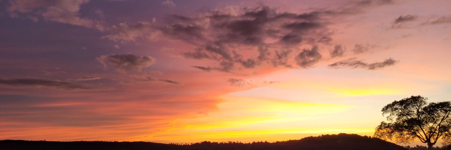 Ty_Bob_'s profile banner image