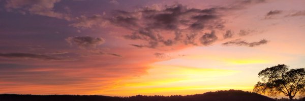 Ty_Bob_ Profile Banner