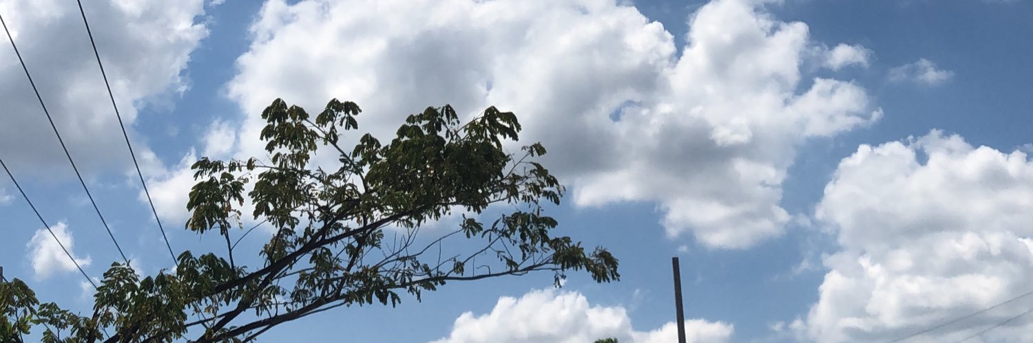 hiskiddult's profile banner image