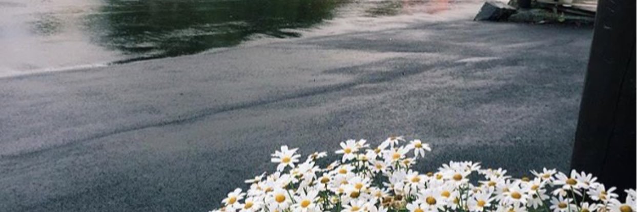 joj1716's profile banner image