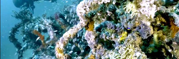 GrowOysterReefs Profile Banner