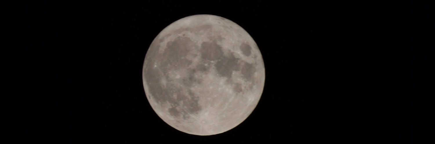BlackStallionV's profile banner image