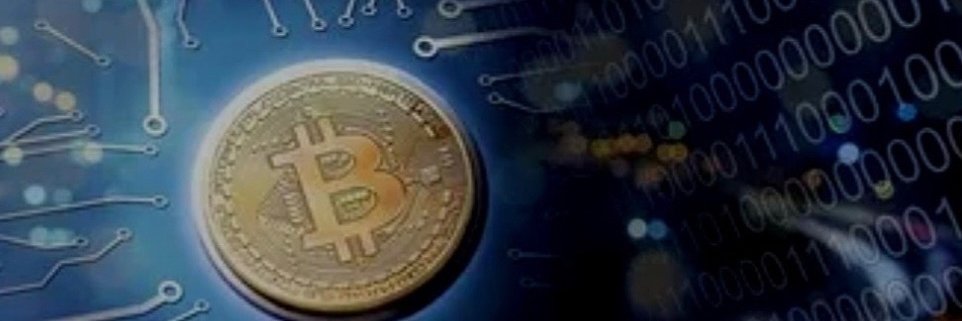 NewToCrypto_Edu's profile banner image