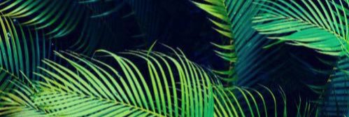 AllisonAffeldt's profile banner image