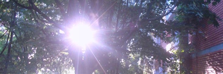 rrrenata_'s profile banner image
