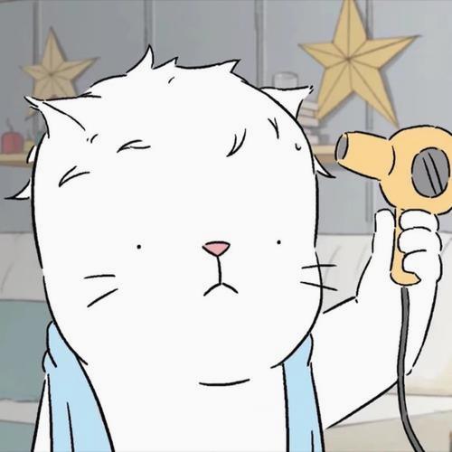 FRANCOIS Edson banner