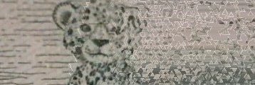 Reuspdi's profile banner image