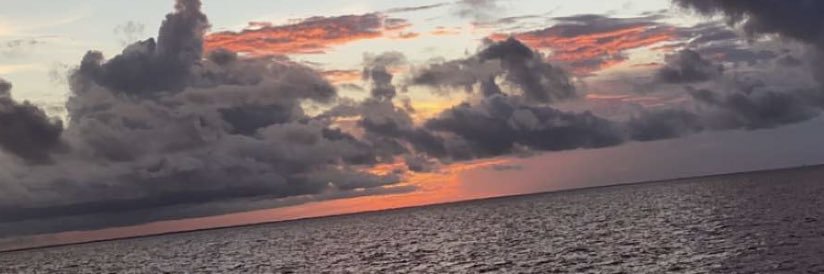 quafftheelixir's profile banner image