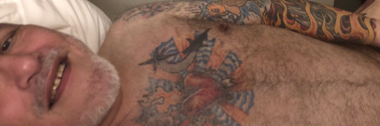 HoDaddy (part bear, all PIG) banner