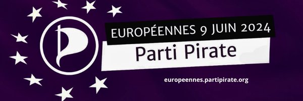 Parti Pirate Profile Banner