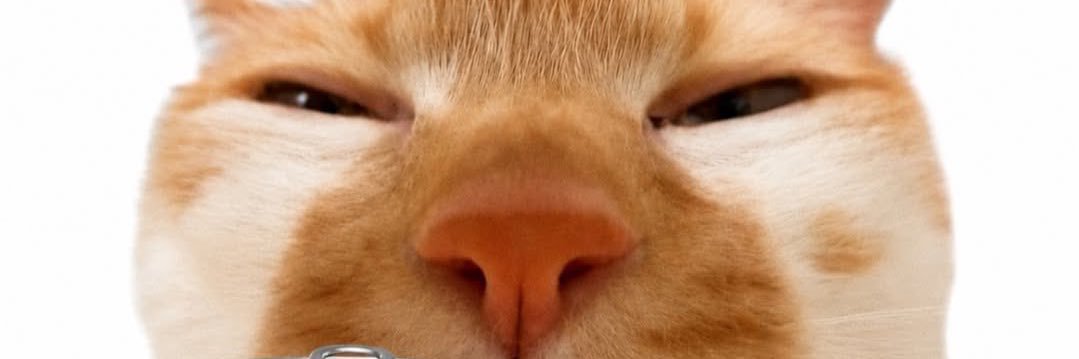 zuony_'s profile banner image