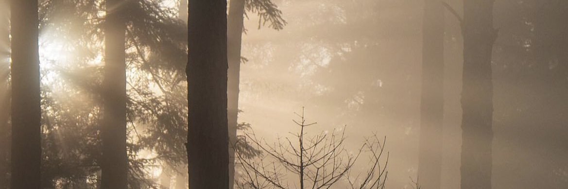 macalaxa99's profile banner image
