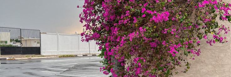wqe_ll's profile banner image