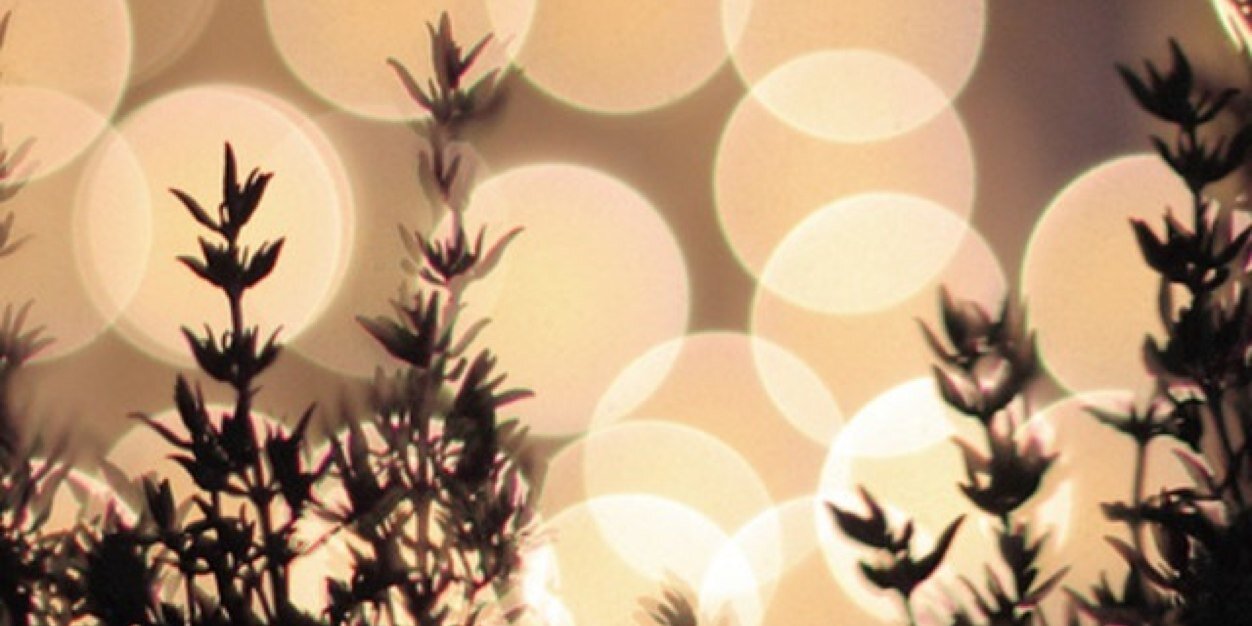 HavahRose's profile banner image