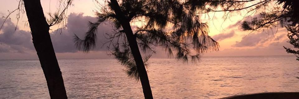 Shazeea Mohamed Ali banner