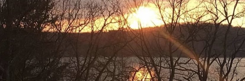 Dana Kohlmann banner