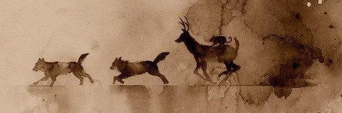 ༝ 𝙱𝚊𝚖𝚋𝚒 banner