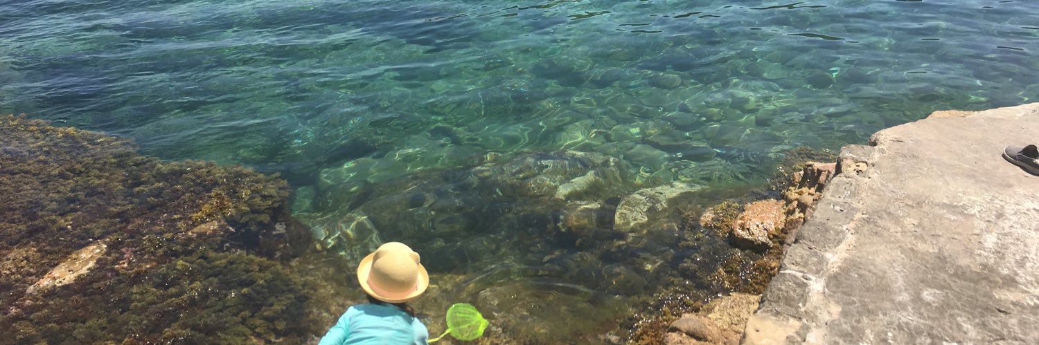 Esther Murphy banner