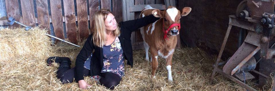 Lynley Tulloch banner