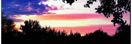 pjerrell's profile banner image