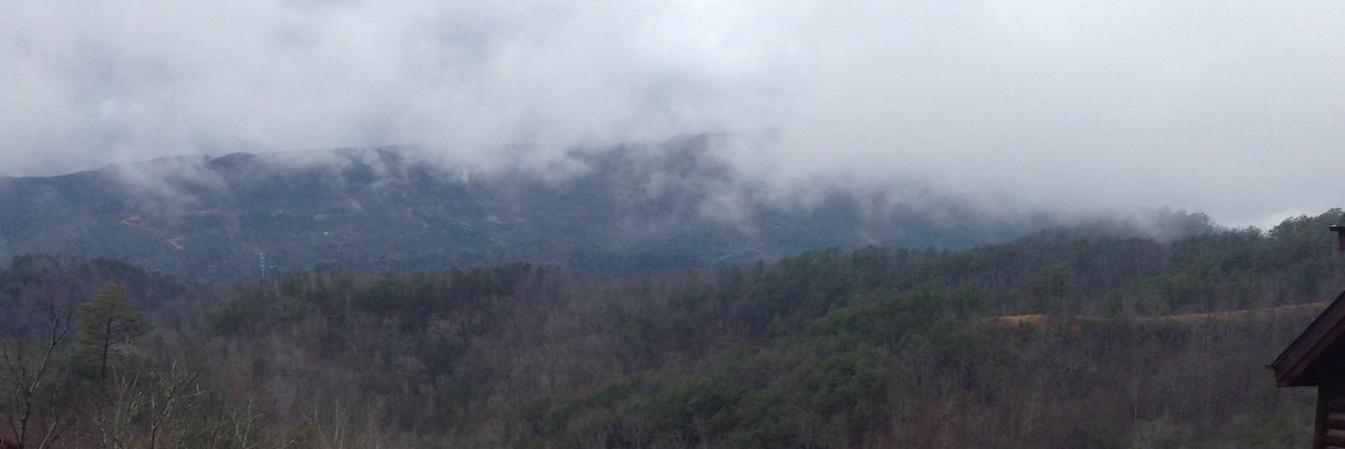 Logan Bates † banner