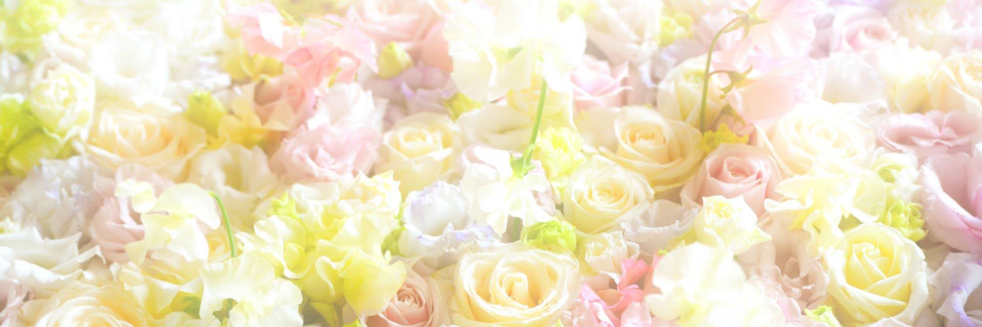 jbombee77's profile banner image