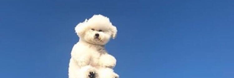 lahrichik's profile banner image