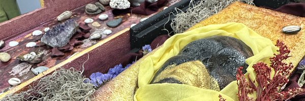 subt_le Profile Banner