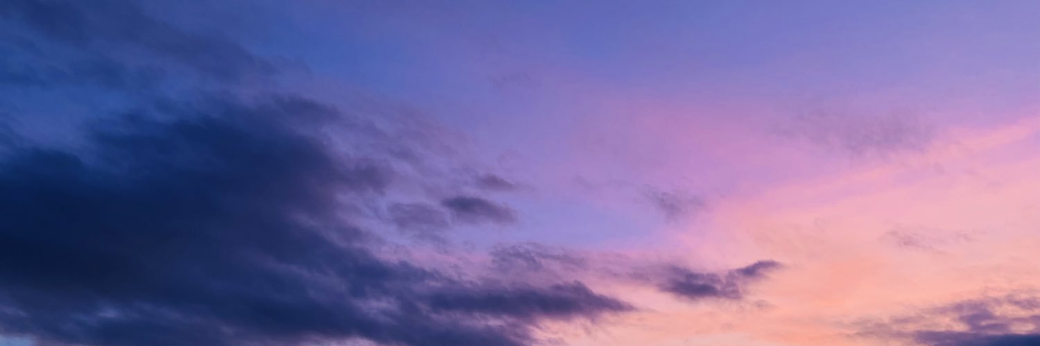 limiculous's profile banner image