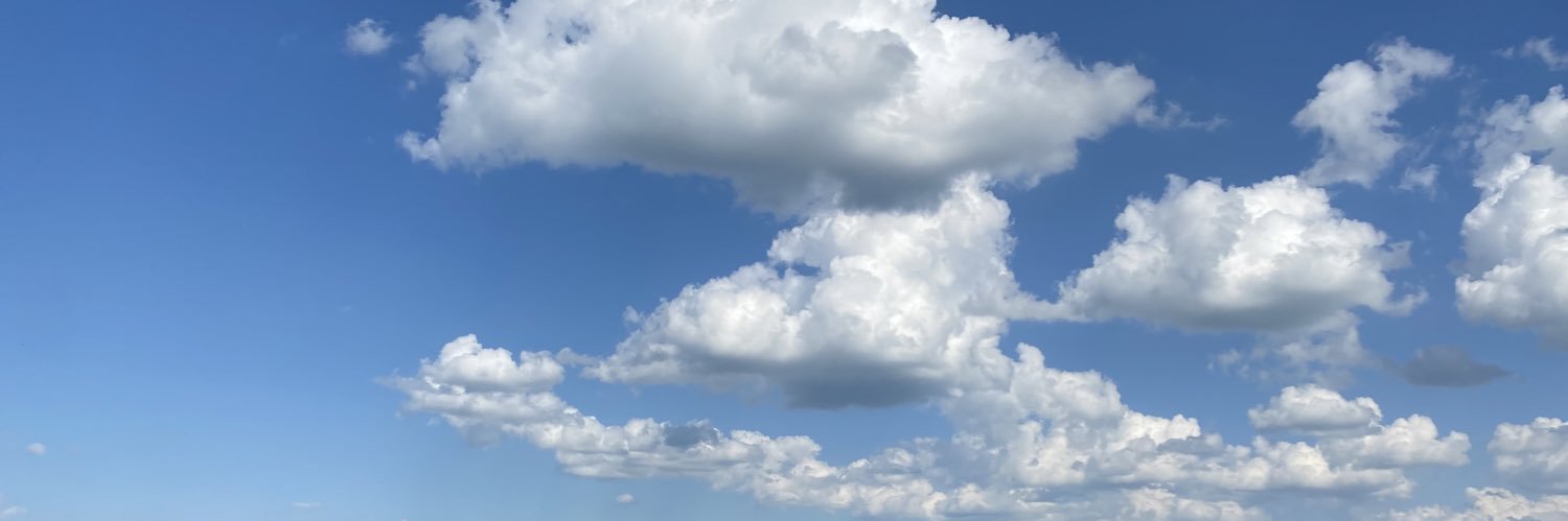 nikkicolumbus's profile banner image