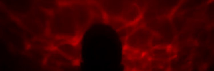 Issabbyupdates's profile banner image