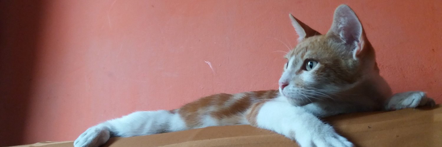 Esmerald82's profile banner image