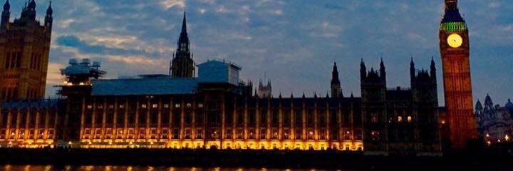 MollyWilson16's profile banner image