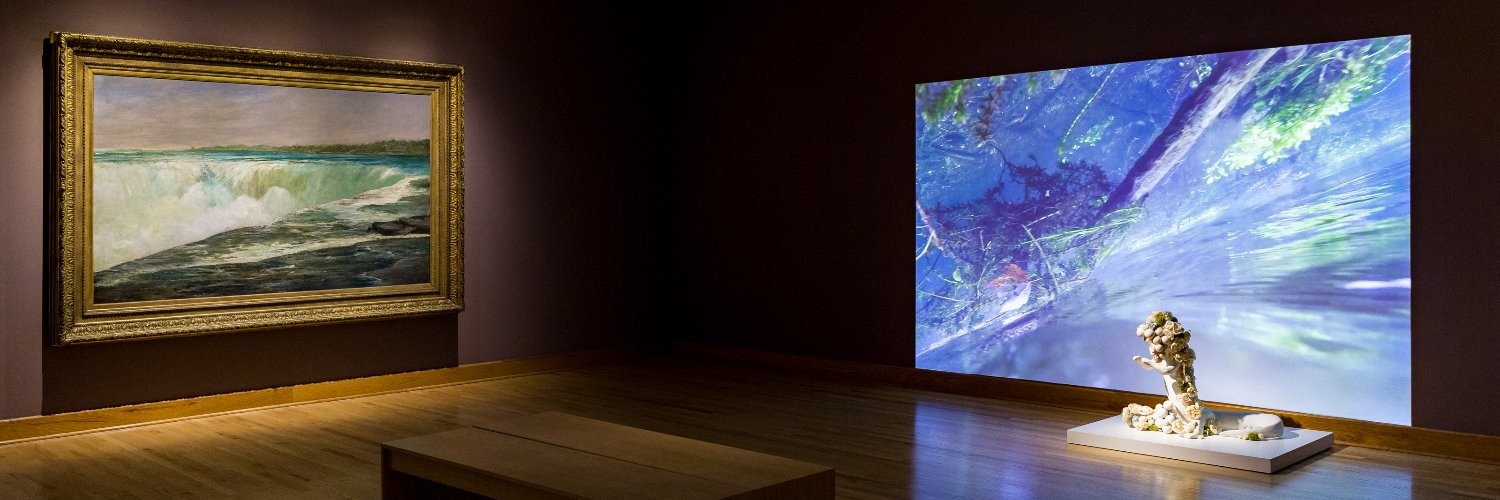 Williams College Museum of Art banner