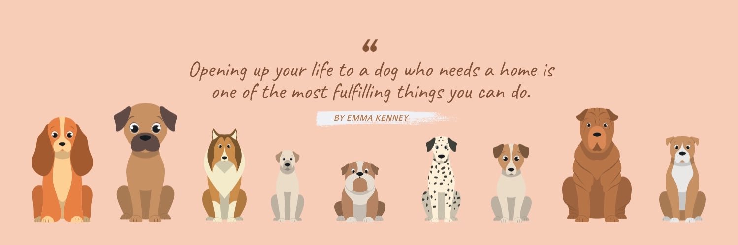 🌺🌸🌼Sharon🌼🌸🌺 banner