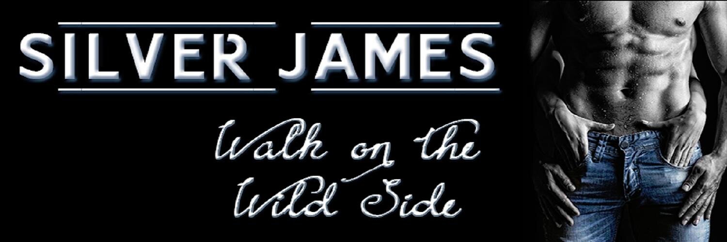 Silver James banner