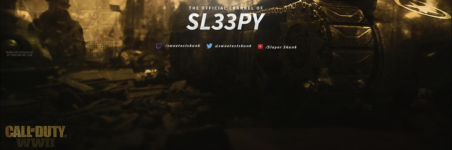 TSDSkunk's profile banner image