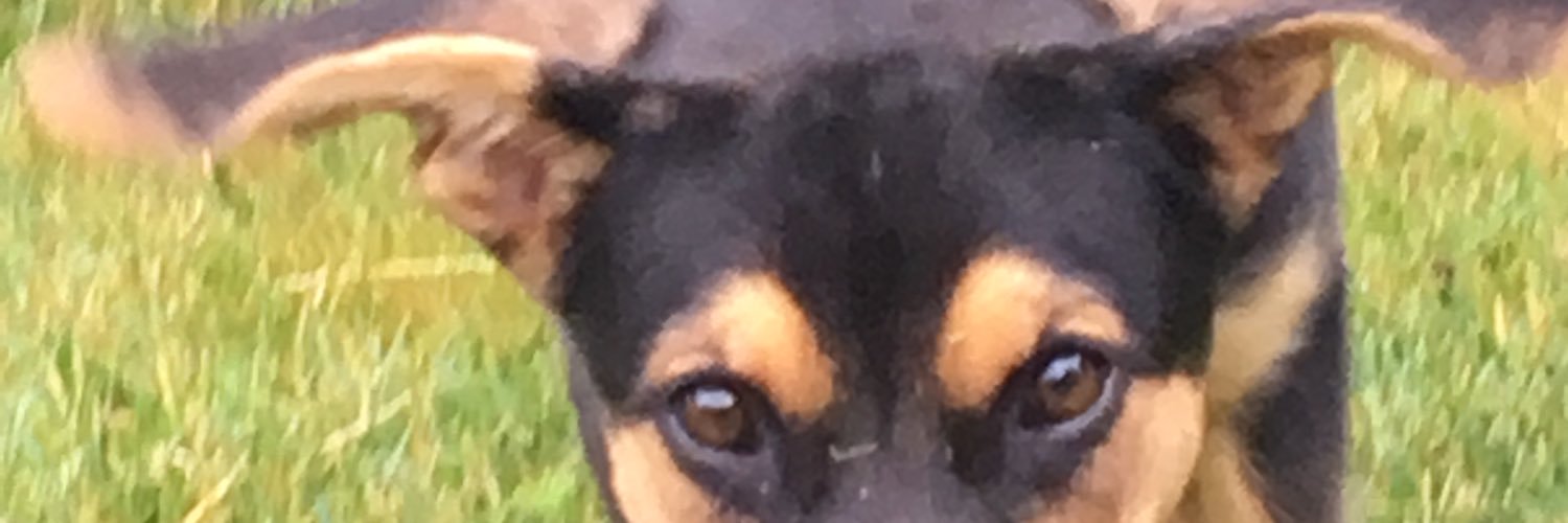GetMossed15's profile banner image
