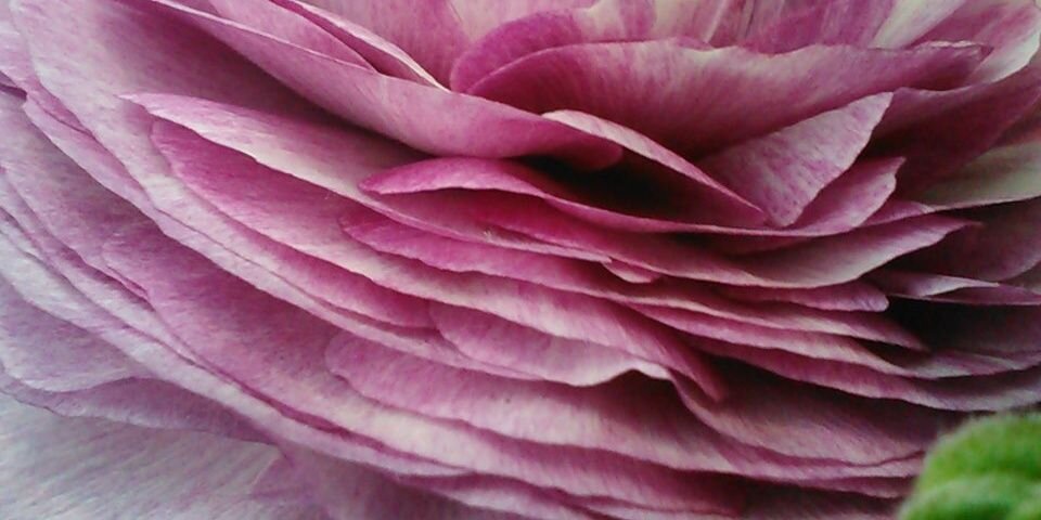 LoveCommaFemme's profile banner image