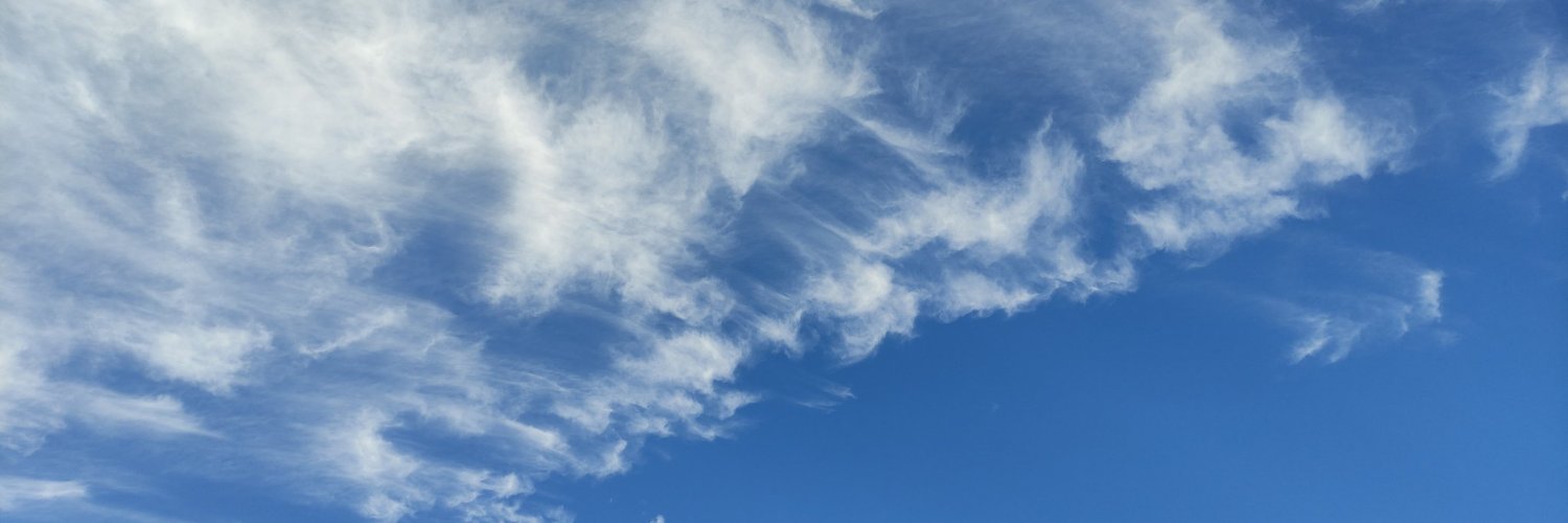 shalevale's profile banner image
