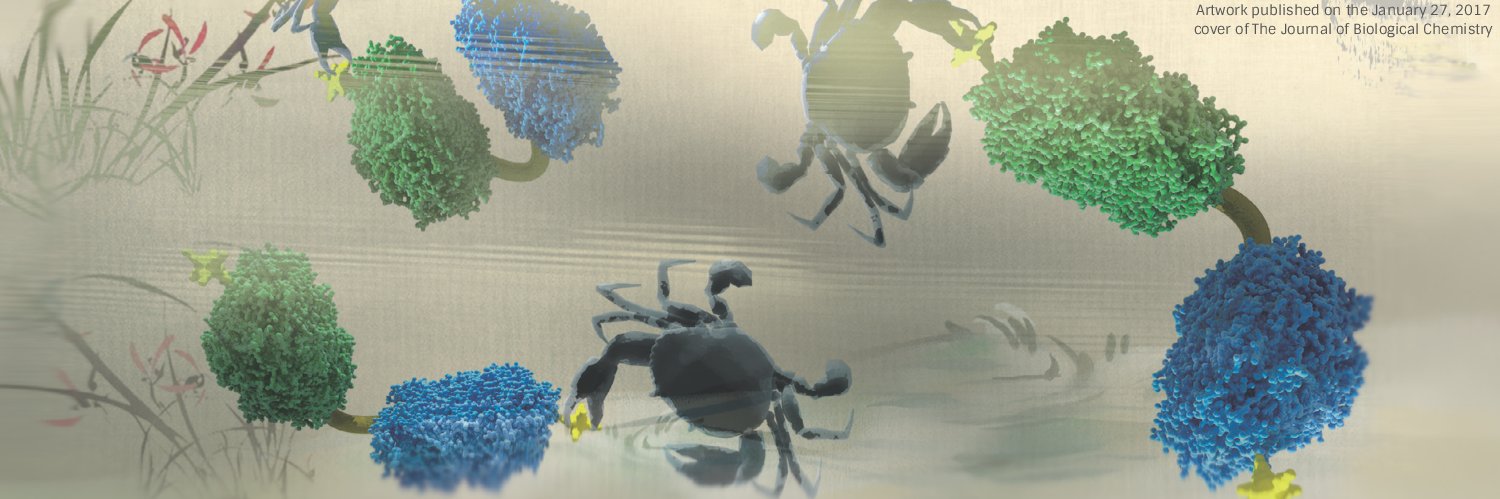 cdorn56's profile banner image
