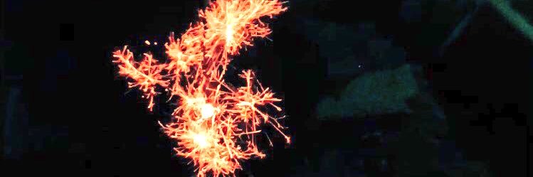 8116_a's profile banner image