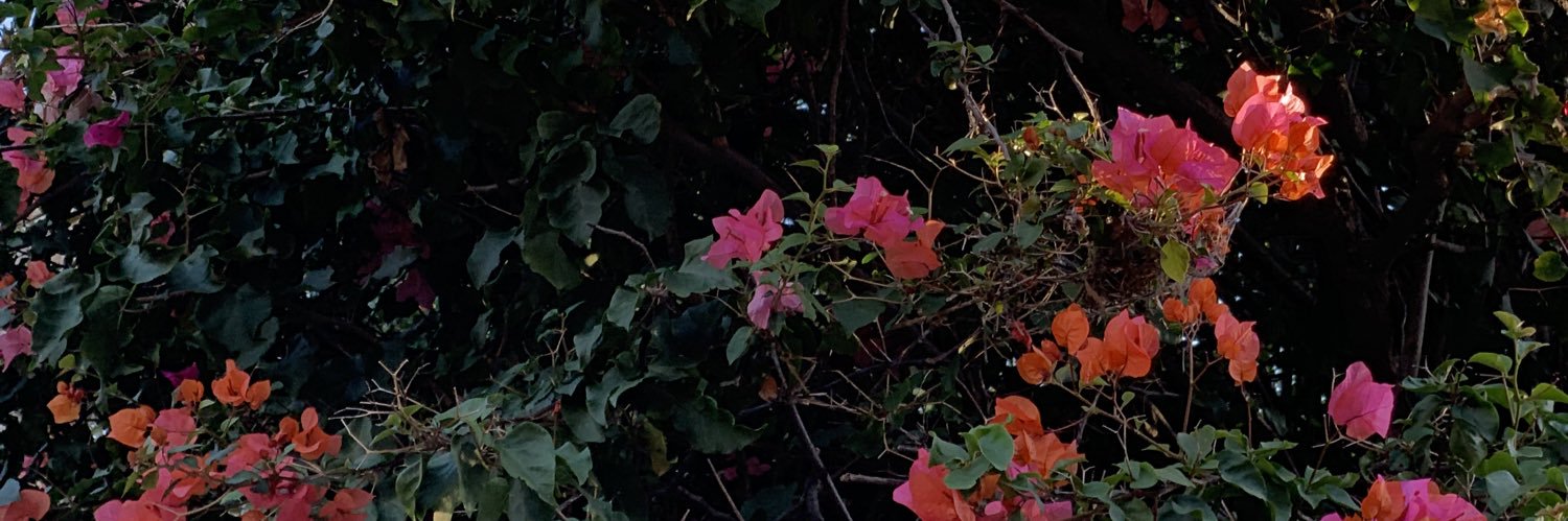 mattyirl_'s profile banner image