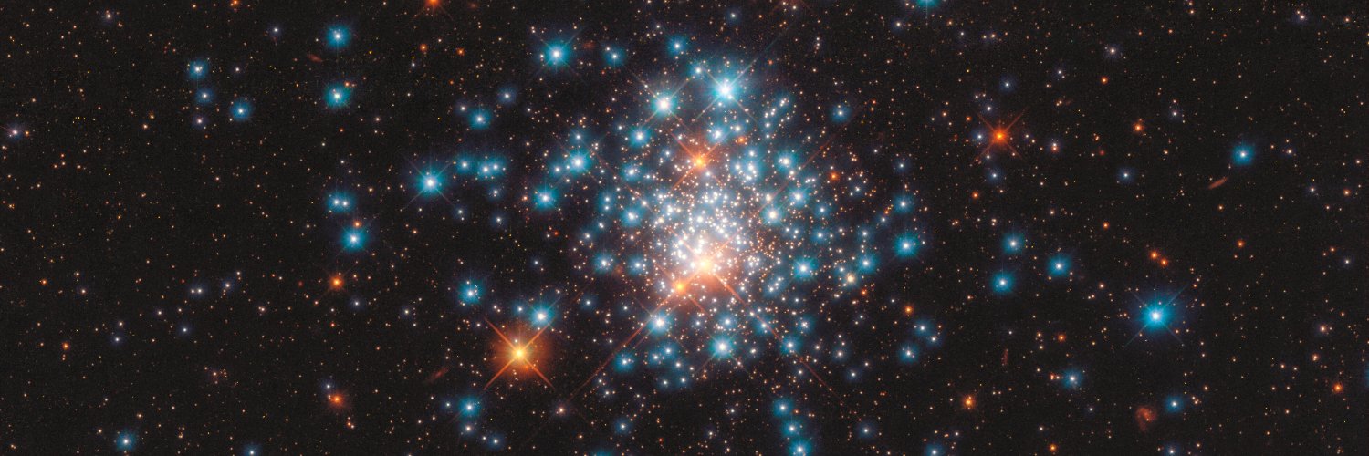 Bethany Downer banner