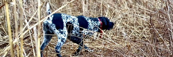 derekfillmore Profile Banner