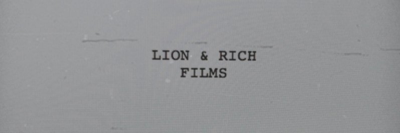 LionAndRich's profile banner image