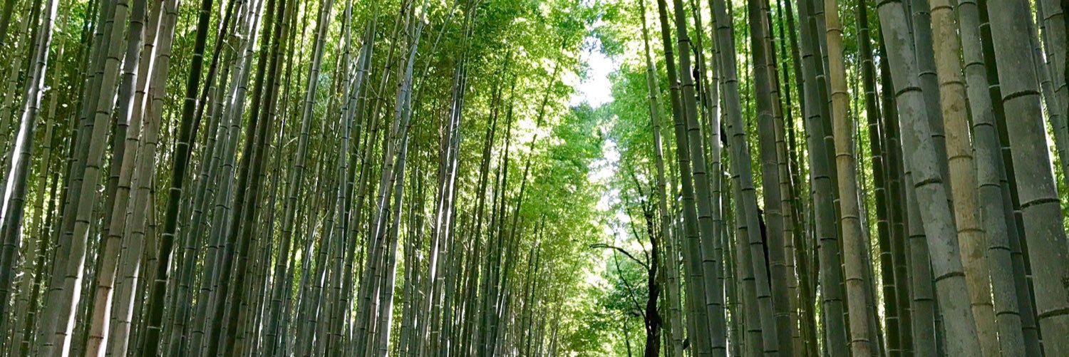 Maddy_Wong's profile banner image